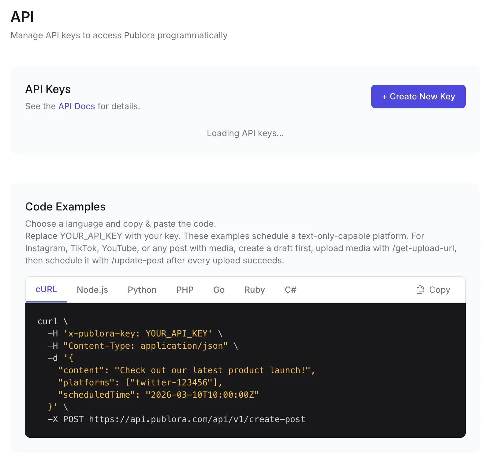 Publora dashboard API page with API keys and code examples